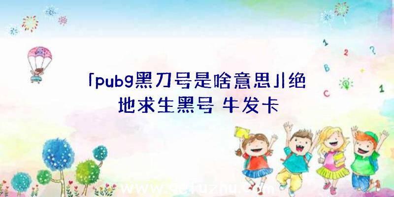 「pubg黑刀号是啥意思」|绝地求生黑号